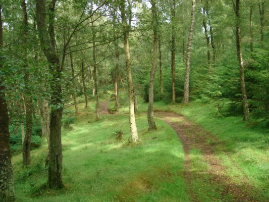 Bratton Court Enduro Track photo